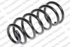 LESJ?FORS 4244228 Coil Spring